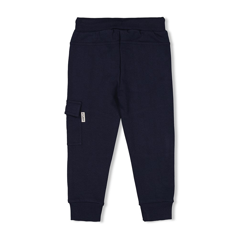 Cargohose in dunkelblau aus der Kollektion Coastal Cool von Sturdy